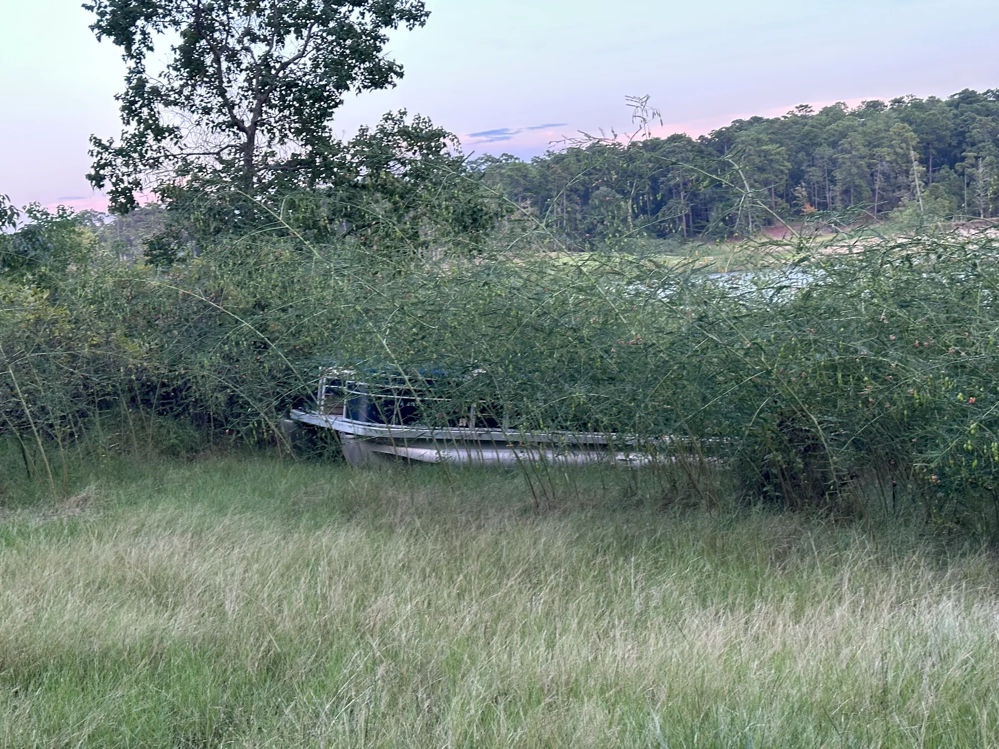 A boat grounded well back in tall grass off Sam Rayburn, the water visible far in the distance — a 300-foot recovery.